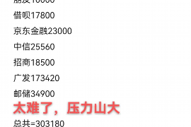 平顶山遇到恶意拖欠？专业追讨公司帮您解决烦恼